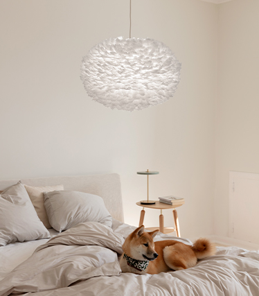 Lampada a sospensione morbida che crea un’atmosfera calda e rilassante in una camera moderna con un cane